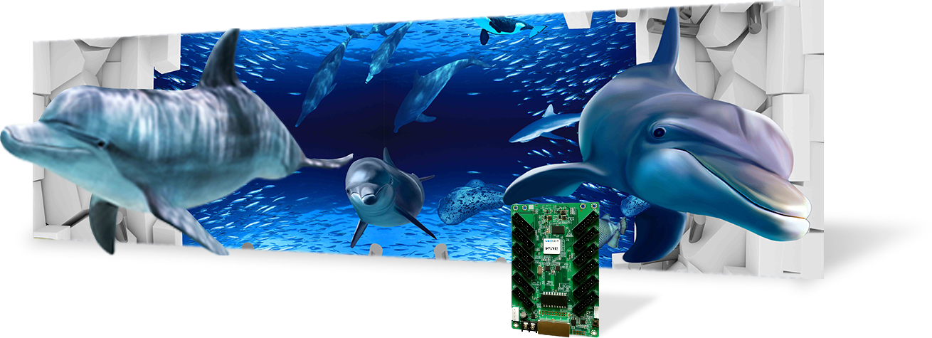 Supports 3D immersive view
